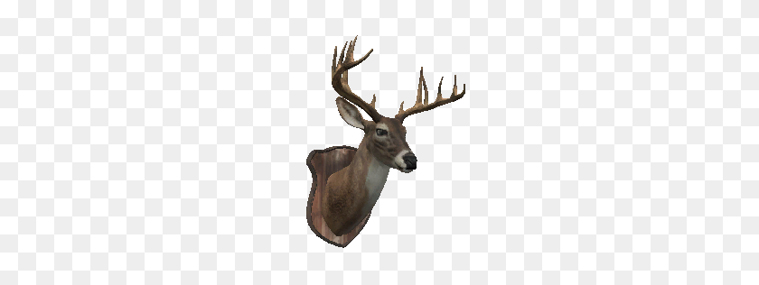 256x256 Deer Head Bust - Deer Head PNG