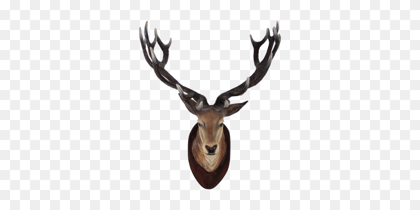 360x360 Deer Head Png Clipart - Deer Head PNG