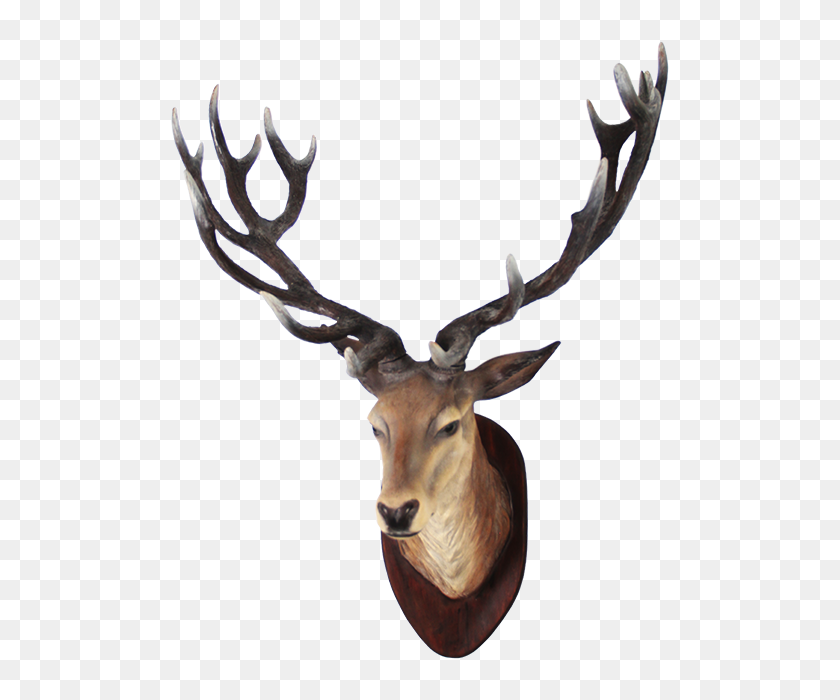 640x640 Deer Head Png Transparent Image - Deer Head PNG