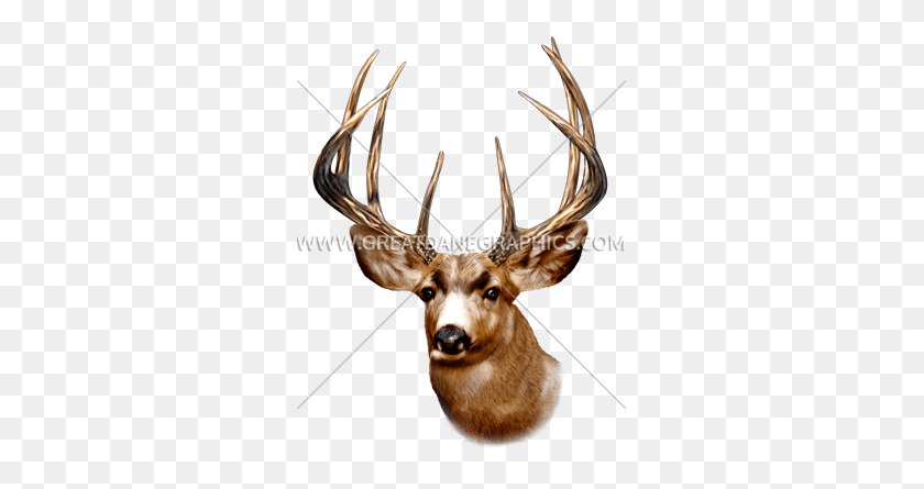 299x385 Deer Head Production Ready Artwork For T Shirt Printing - Deer Head PNG
