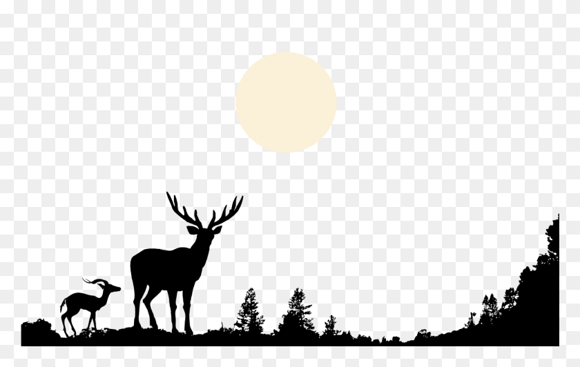 1336x810 Deer Nature Wildlife Clip Art - Hill Clipart Black And White