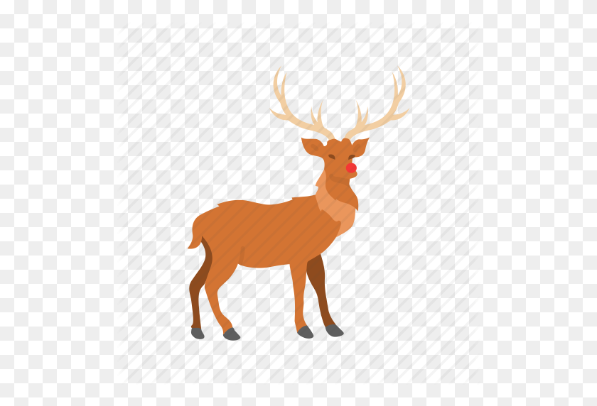 512x512 Deer, Red Nose, Reindeer, Rudolph Icon - Rudolph PNG