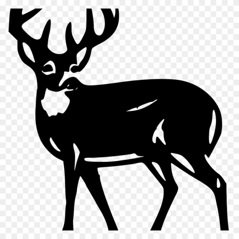 1024x1024 Deer Silhouette Clip Art Free Clipart Download - Reindeer Head Clipart