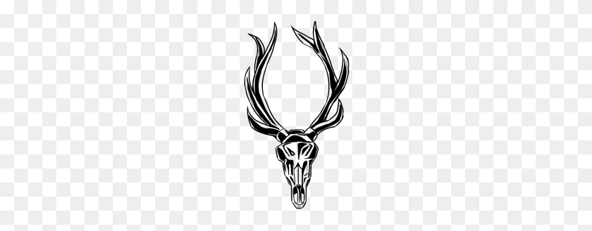 190x269 Deer Skull - Deer Skull PNG