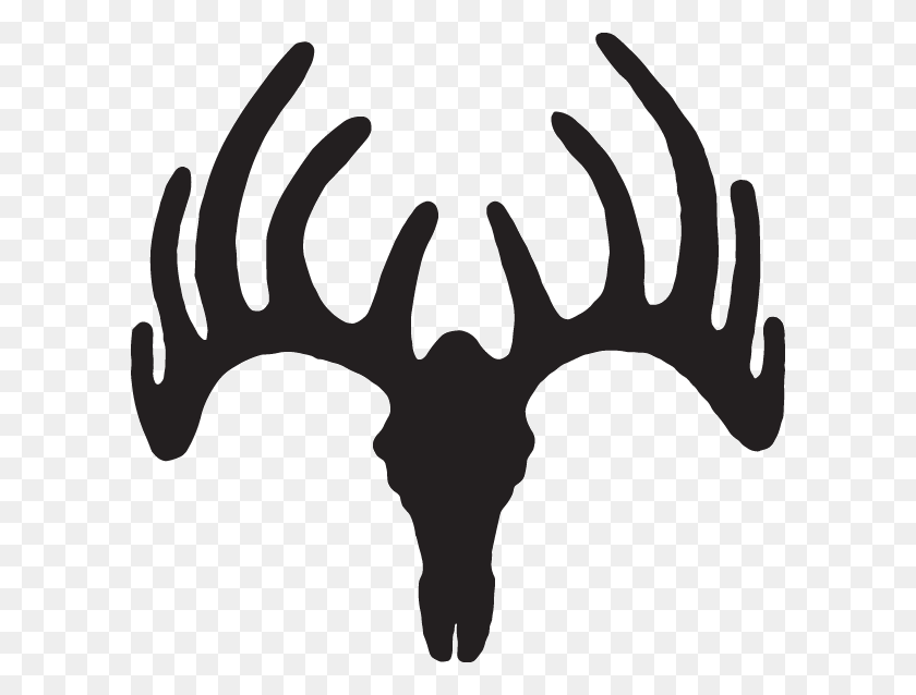 600x578 Deer Skull Decal - Deer Skull PNG