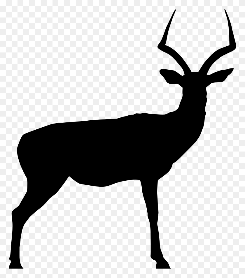 2000x2293 Deer Skull Drawing Earth Clipart - Skeleton Black And White Clipart
