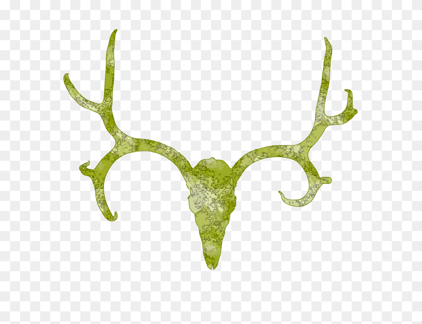 2592x1944 Deer Skull Image - Deer Silhouette Clip Art