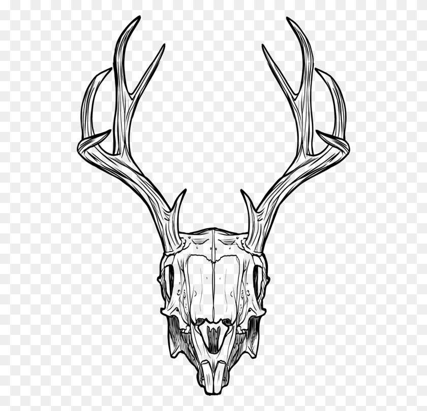538x750 Fondo De Pantalla De Cráneo De Ciervo Con Flores - Deer Rack Clipart