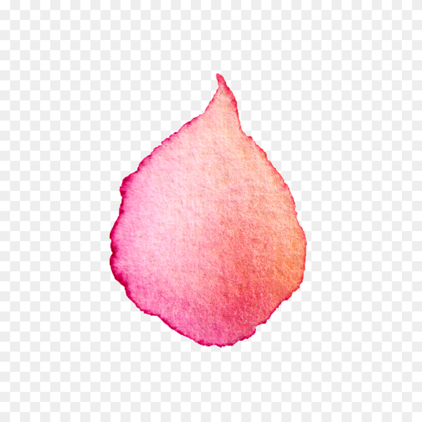 1024x1024 Delicate Flower Petals Transparent Decorative Free Png Download - Pink Watercolor PNG