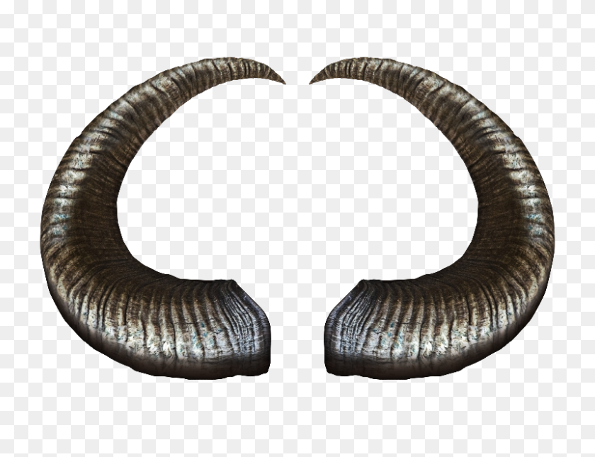 800x600 Demon Horns Png Stock Image - Metal PNG
