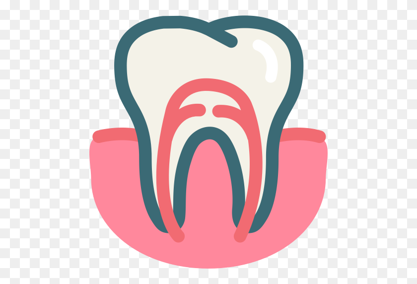 512x512 Dental, Dental Treatment, Dentist, Gum, Gums Tooth, Root Canal - Gum PNG