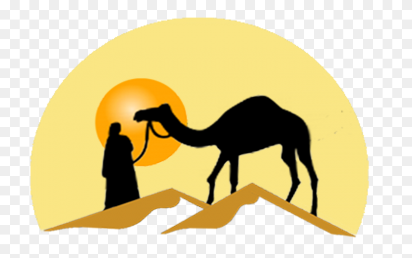 1500x900 Пустыня Верблюд Png Прозрачные Изображения Верблюд Пустыни - Пустыня Png