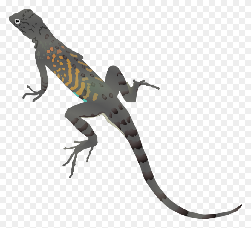 832x750 Desert Horned Lizard Chameleons Common Iguanas Vertebrate Free - Iguana Clipart