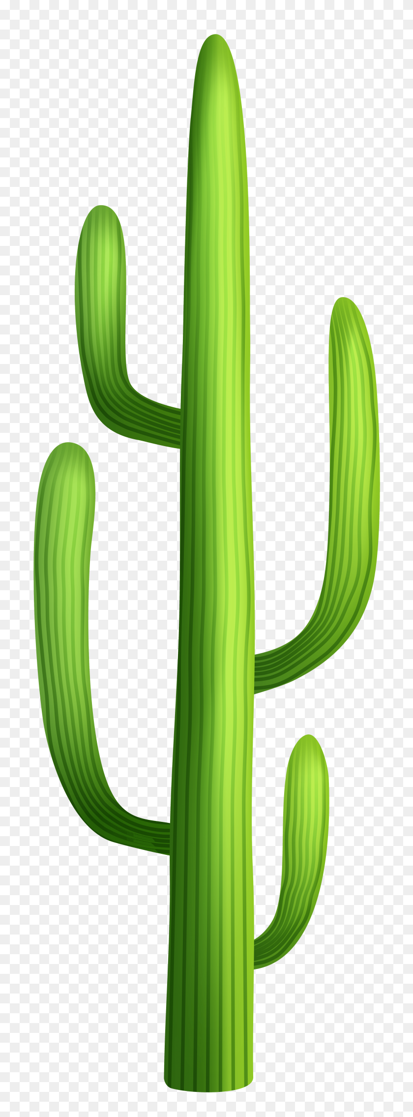2821x8000 Imágenes Prediseñadas De Árbol Del Desierto - Clipart De Cactus Lindo