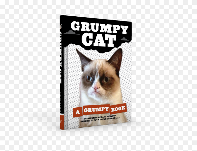 800x600 Portafolio De Diseño De Michael Morris - Grumpy Cat Png