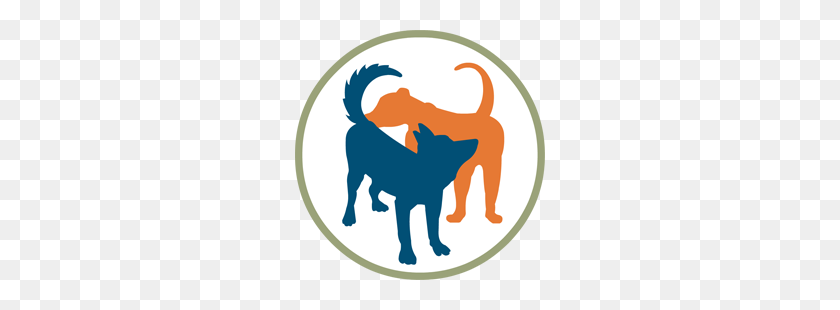 250x250 Diseñador De Collares De Perro Camas Para Perros Suministros Para Mascotas Muttropolis - Perro Y Gato Png