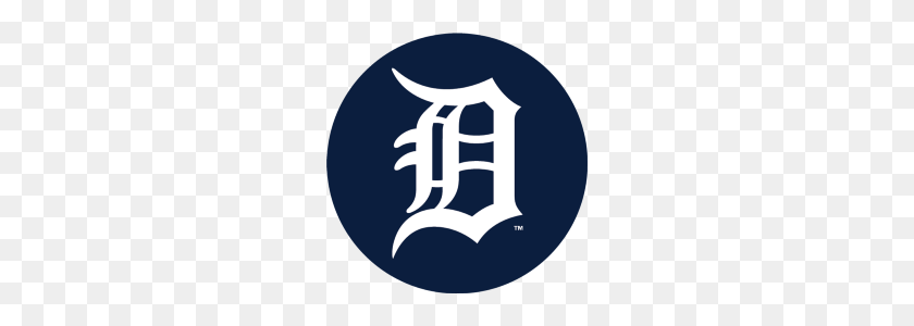 240x240 Detroit Tigers Medium - Logotipo De Los Detroit Tigers Png