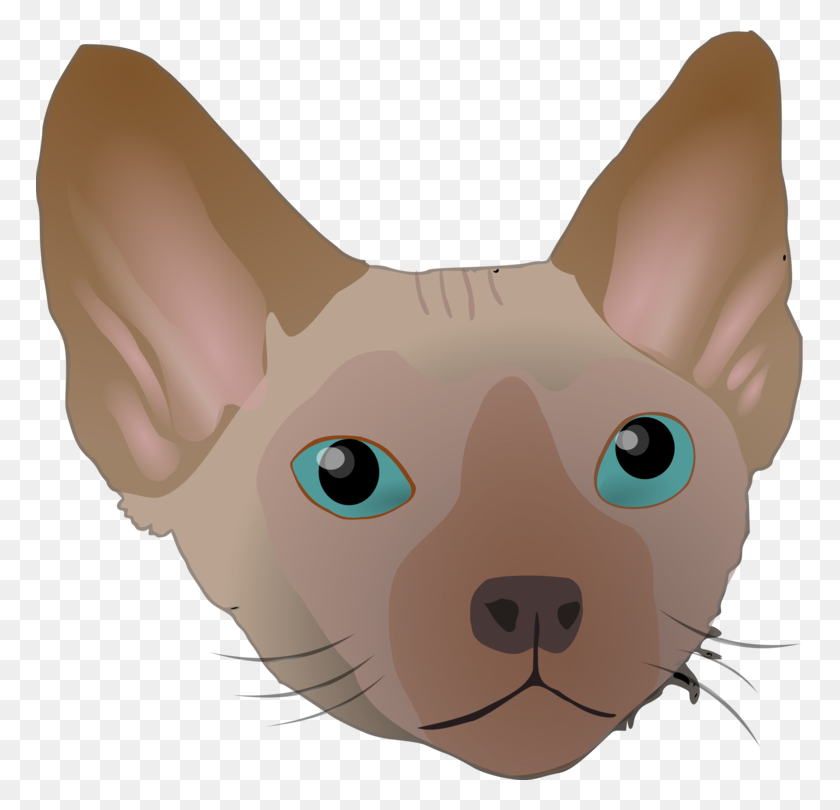 767x750 Devon Rex Whiskers Domestic Short Haired Cat Sphynx Cat Free - Cat Ear Clipart