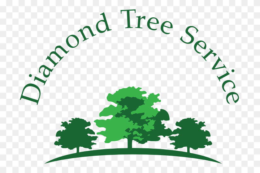 712x500 Diamond Tree Service Mejor Perfil Comercial - Tree Service Clipart