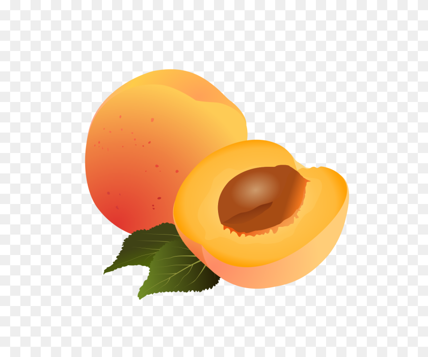 640x640 Dibujo De Frutas Клипарт Albaricoque Logo De Exquisita Fruta - Desayuno Клипарт