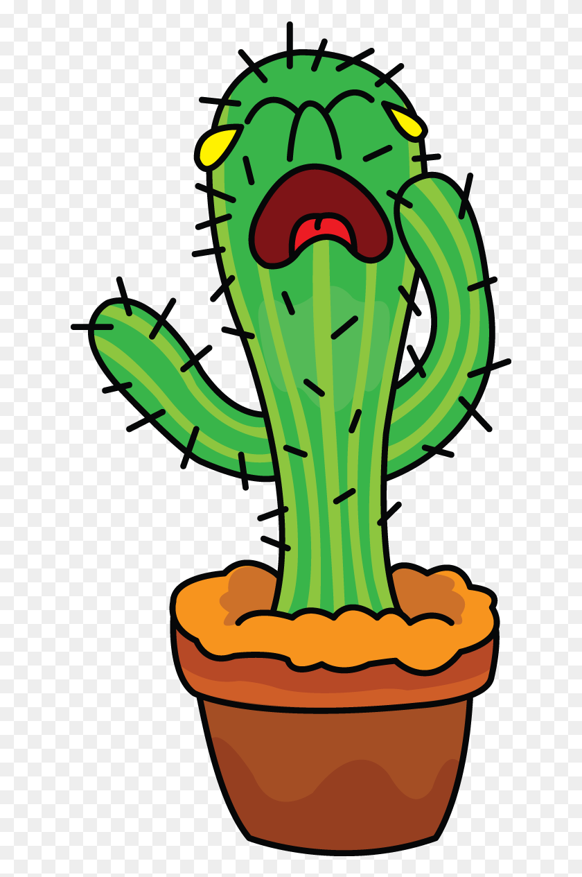 637x1205 ¿Sabías Que La Vida Útil De Una Planta De Cactus Puede Ser? - ¿Sabías Que Png