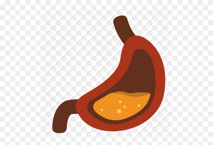 512x512 Digestion, Entrail, Gastric, Gastric Juice, Gastroenterology - Stomach PNG