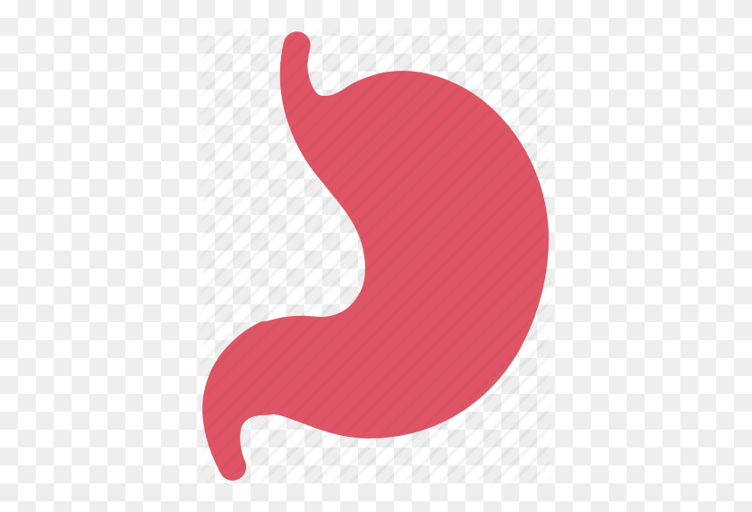 397x512 Digestion, Gastric, Gastritis, Gastroenterology, Liver, Lungs - Stomach PNG