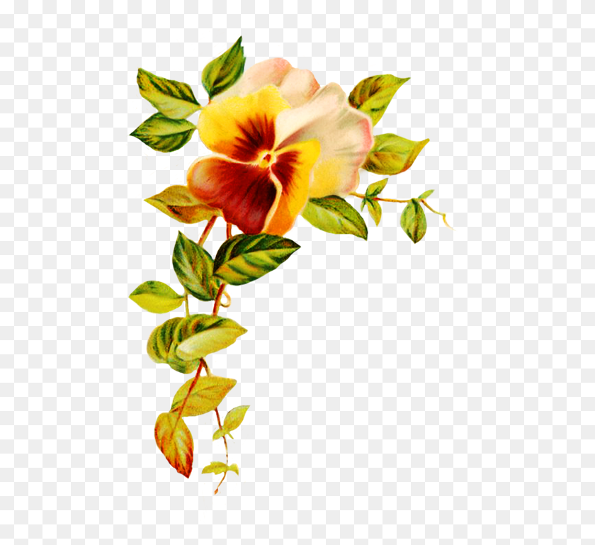 517x709 Цифровой Скрапбукинг Цветы - Цветы На День Матери Клипарт
