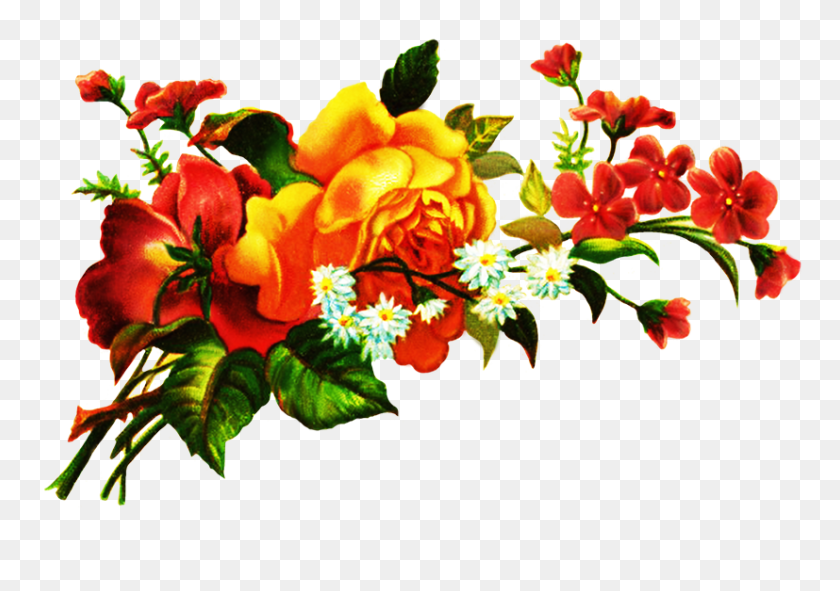 827x564 Digital Scrapbooking Flowers - Flower PNG Transparent