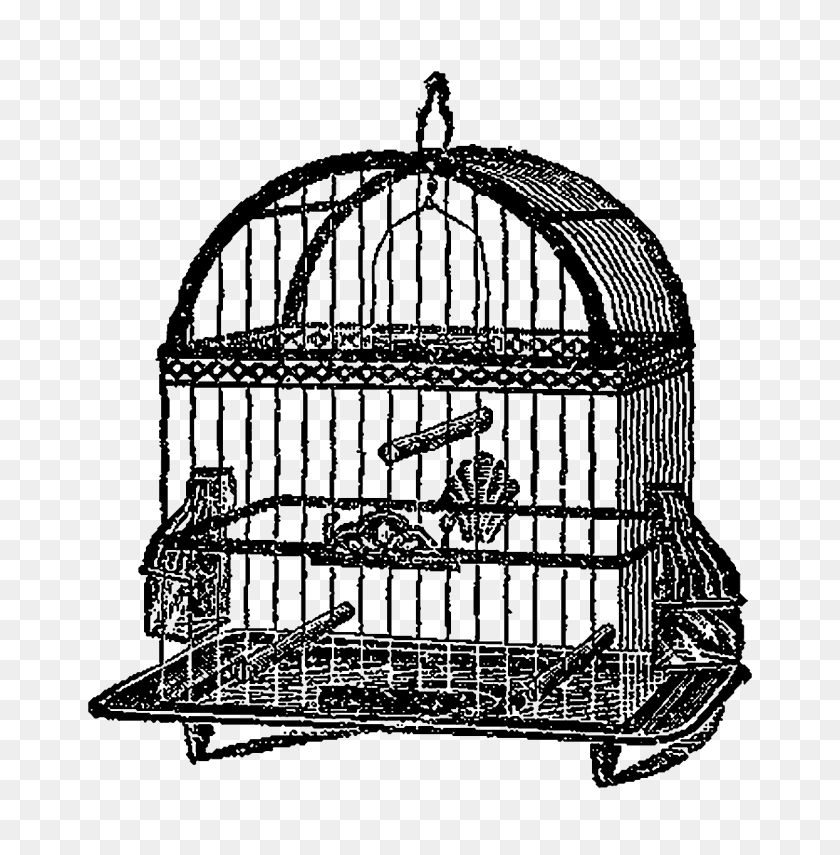 1245x1269 Digital Stamp Design Digital Birdcage Clip Art Download Images - Cage Clipart Black And White