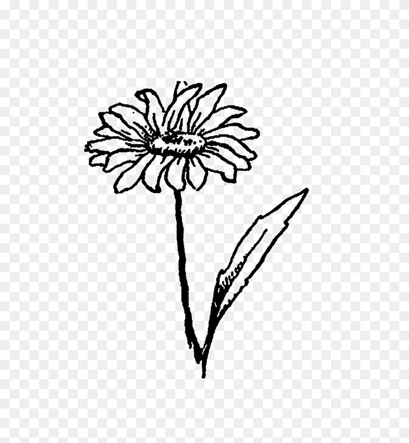 1200x1310 Diseño De Sello Digital Digital Wildflower Descargar Daisy Clover - Flores Silvestres Png