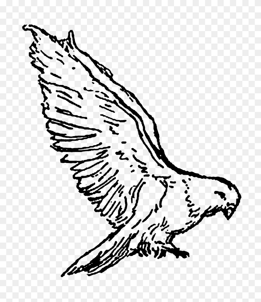 1369x1600 Digital Stamp Design Stock Bird Illustrations Digital Doves - Dove Bird Clipart