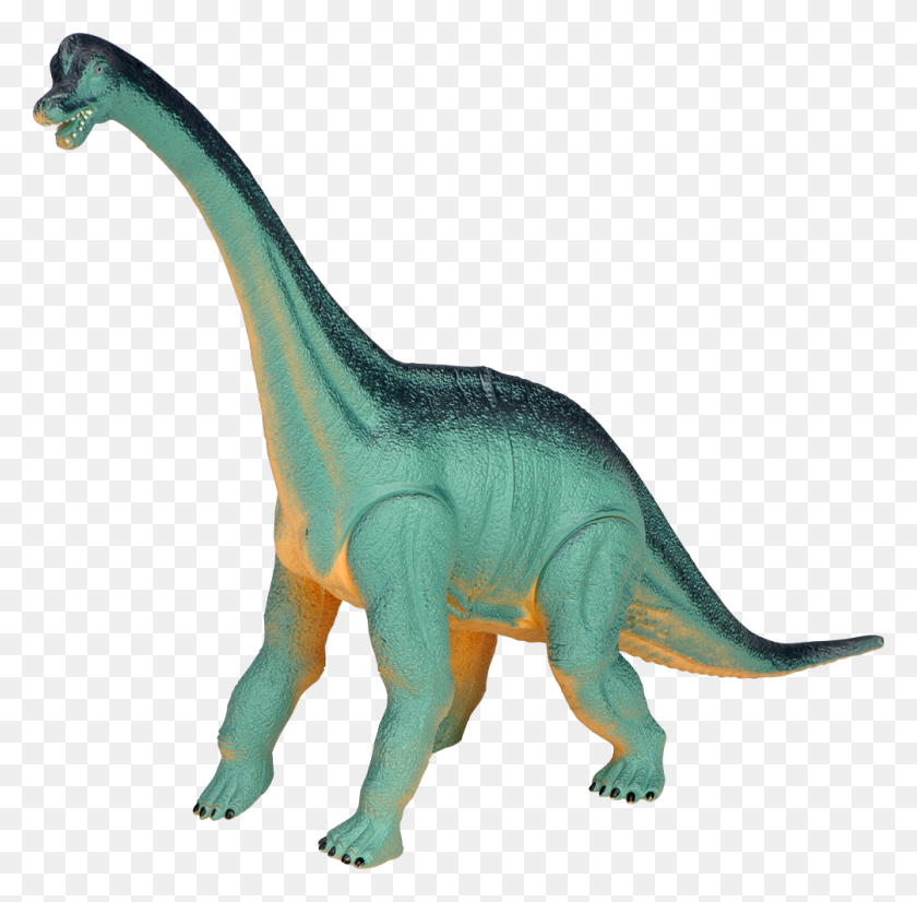 1004x986 Динозавр Большой Динозавр, Динозавр Брахиозавр - Брахиозавр Png