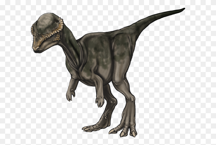600x504 Динозавры Региона Мира - Кости Динозавров Png