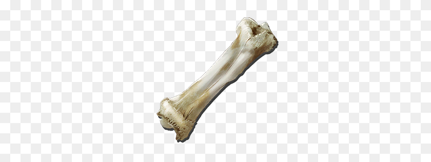 256x256 Dinosaur Bone - Pile Of Bones PNG