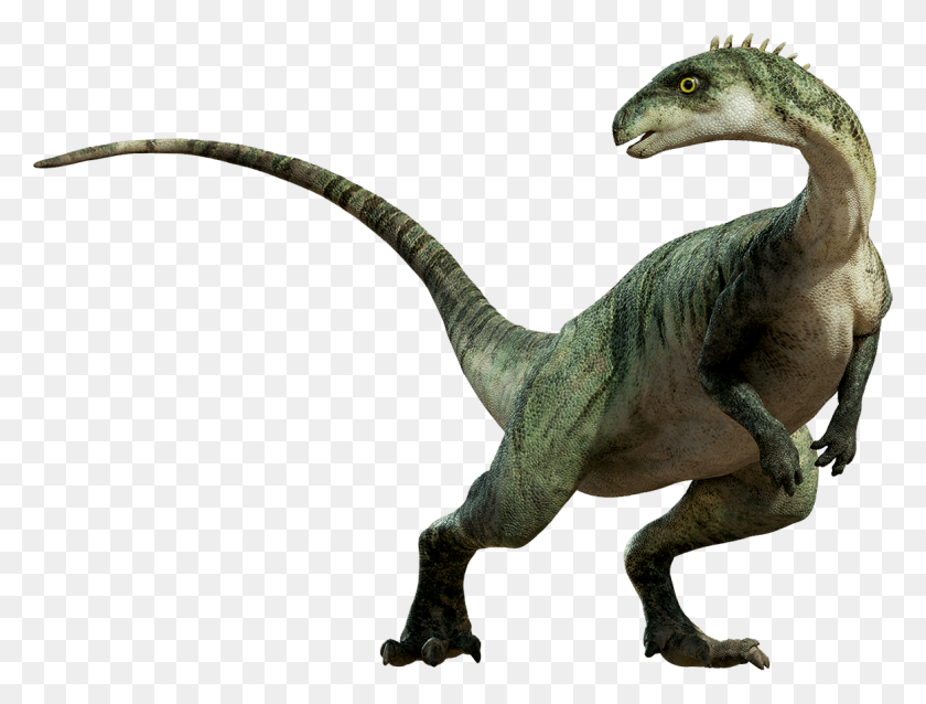 1164x864 Dinosaurio Png