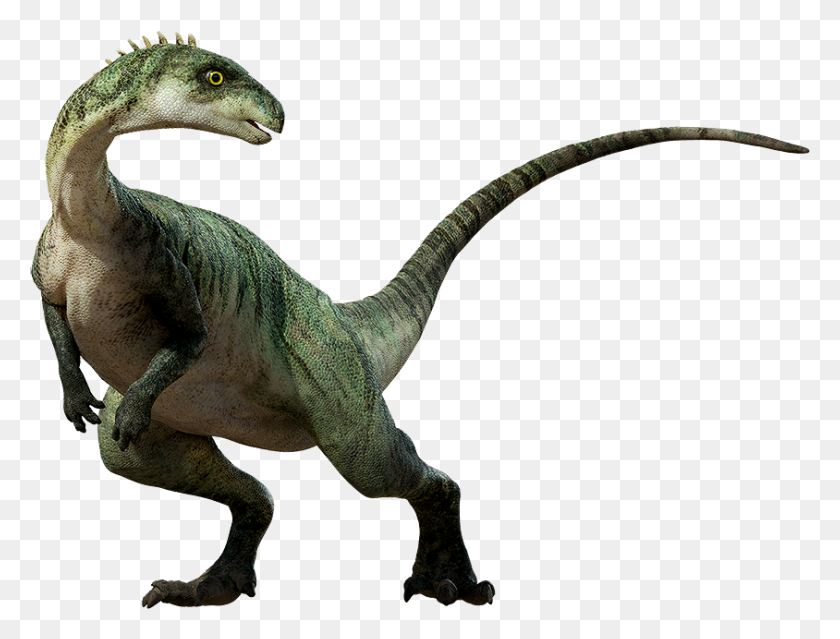 844x627 Dinosaur Png Transparent Images - Velociraptor PNG