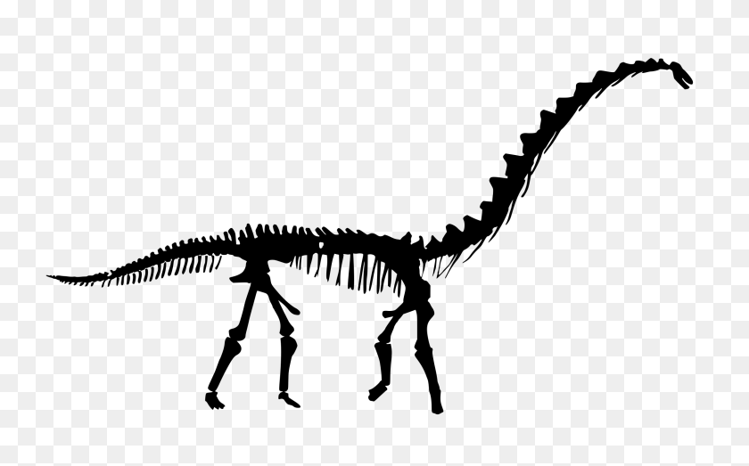 2388x1418 Dinosaur Silhouette Clipart With No Background - Dinosaur Bones PNG