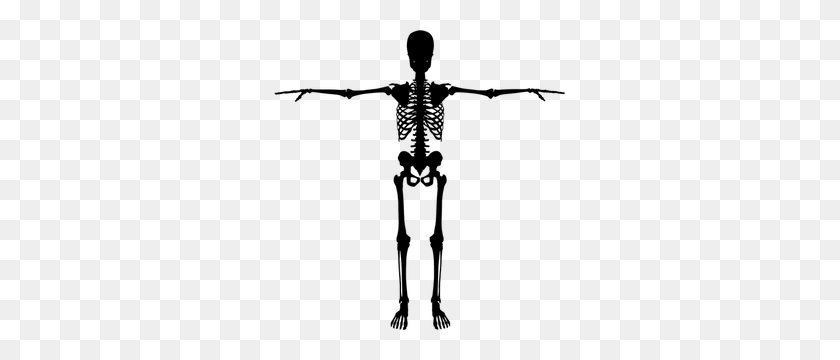 291x300 Dinosaur Skeleton Clipart Free - Dancing Skeleton Clipart