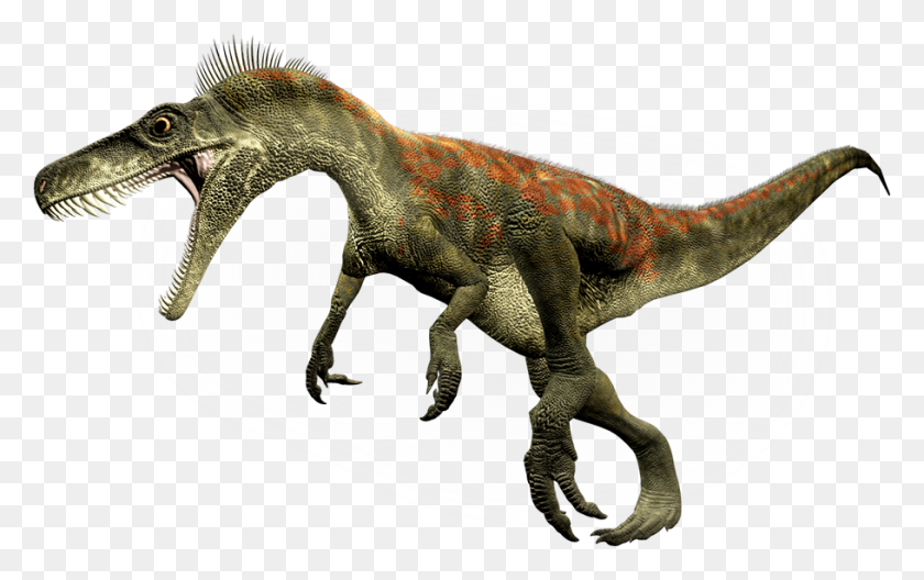 910x547 Dinosaurs - Dinosaur Bones PNG