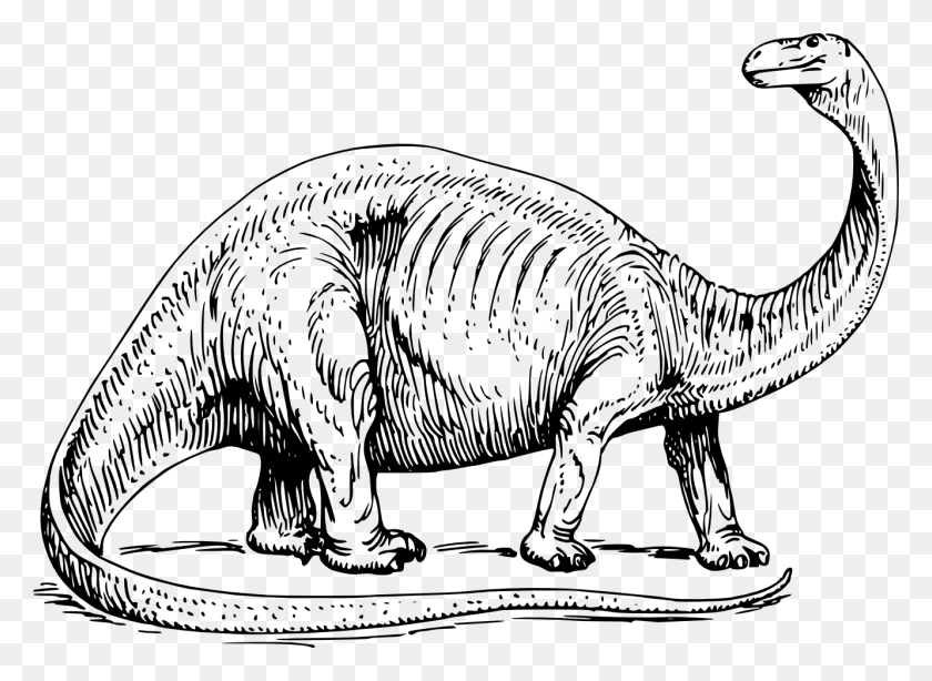 1331x946 Динозавры Клипарт Голова Динозавра - Скелет Клипарт