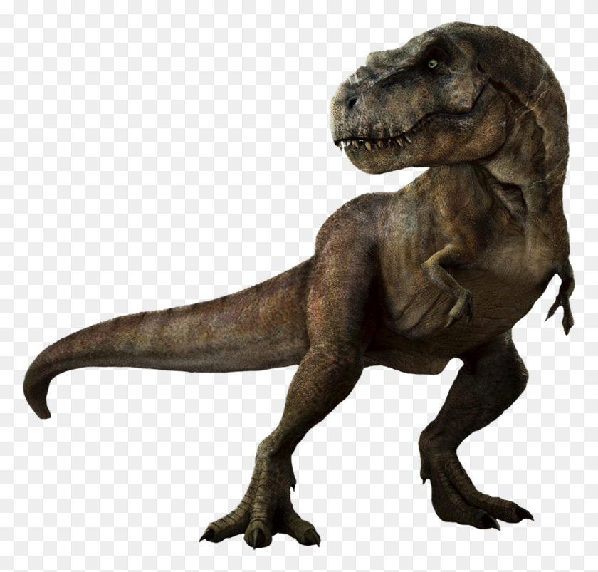 1024x976 Динозавры Png Картинка - Динозавр Png