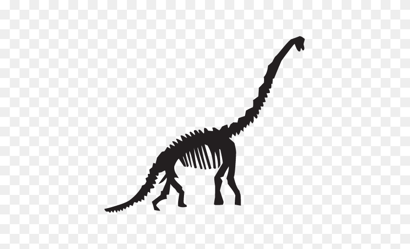 451x451 Diplodocus Dinosaur Fossil Wall Wall Art Decal - Fossil PNG