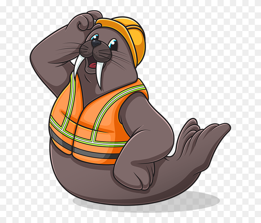 654x659 Direct Star - Walrus PNG
