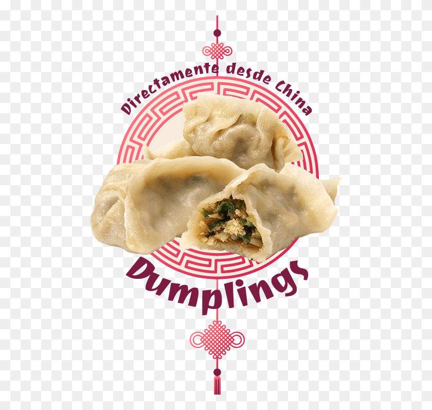 491x737 Directamente Desde China Dumplings Antojos Culinarios - Dumpling PNG
