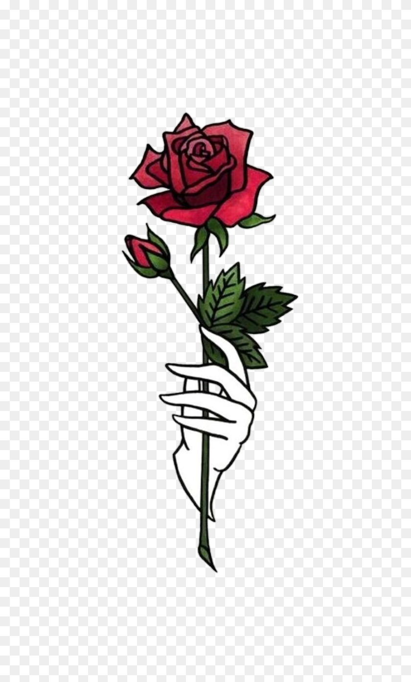 750x1334 Discover The Coolest - Rose PNG Tumblr