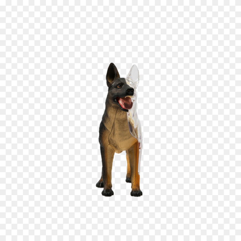 800x800 Dissected - Doggo PNG