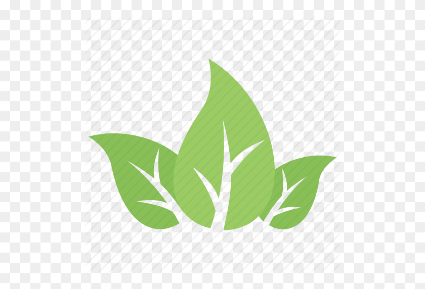 512x512 Divided Leaf, Green Leaves, Leaf Logo, Three Leaves, Tripartite - Leaf Logo PNG