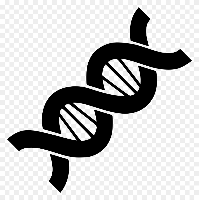 980x982 Dna Biology Structure Chain Helix Genetic Genetics Genome Png - Dna Helix PNG