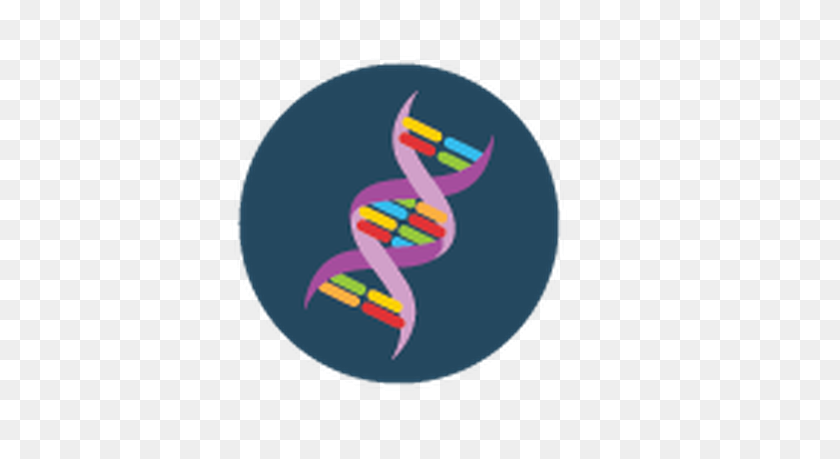 527x399 Dna Clipart Png Collection - Helix Clipart